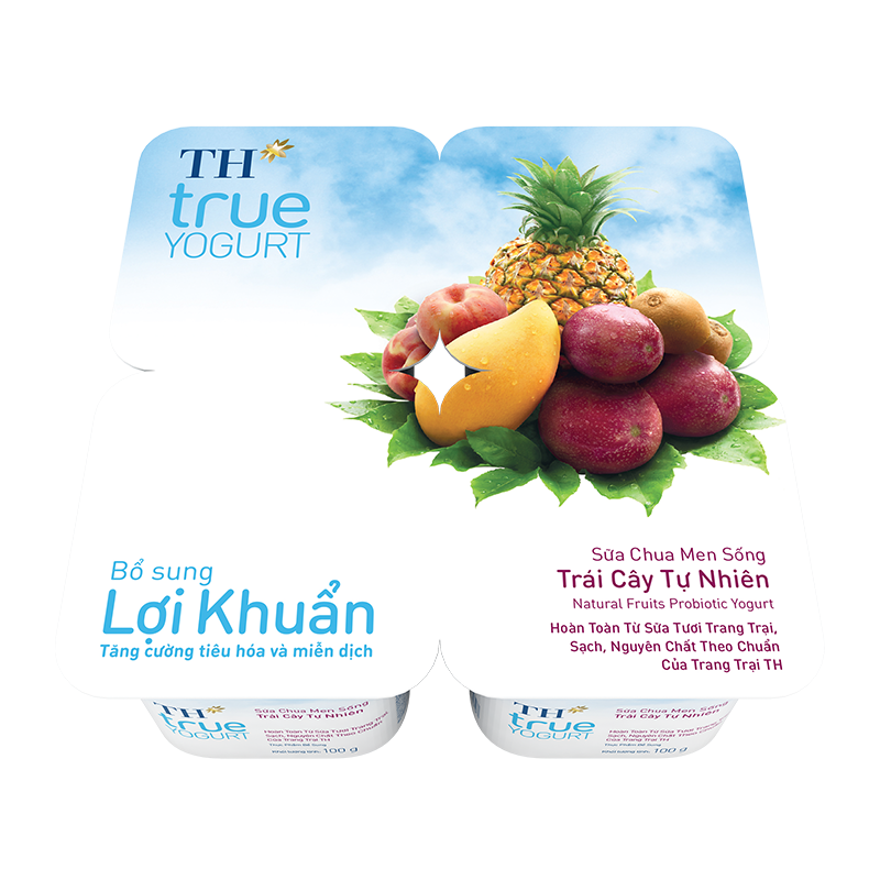 Hộp sữa chua ăn men sống trái cây tự nhiên 100g TH true YOGURT