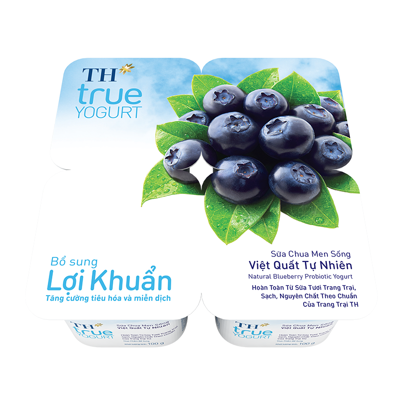 Hộp sữa chua ăn men sống việt quất tự nhiên 100g TH true YOGURT