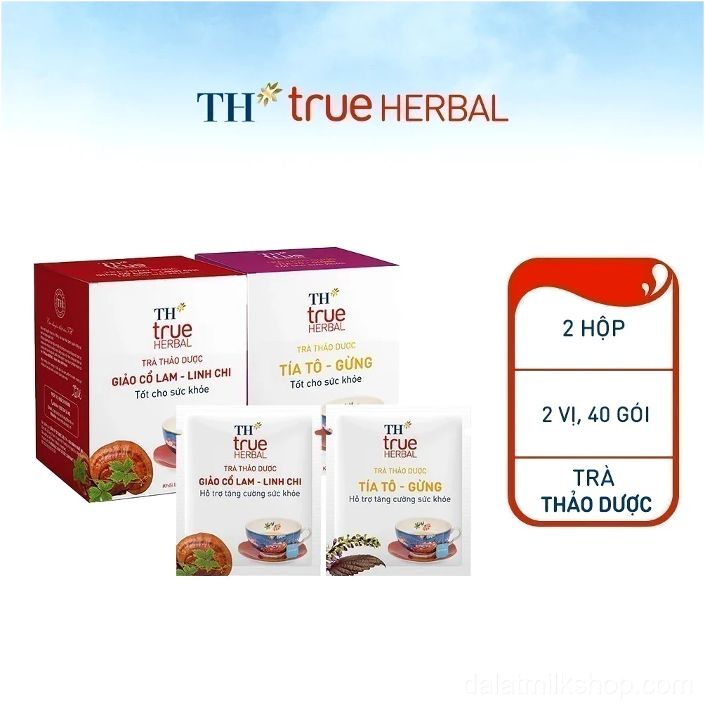 Combo Trà Thảo Dược TH true HERBAL Giảo Cổ Lam – Linh Chi Trà Tía Tô – Gừng (20 Gói x 2 Hộp)